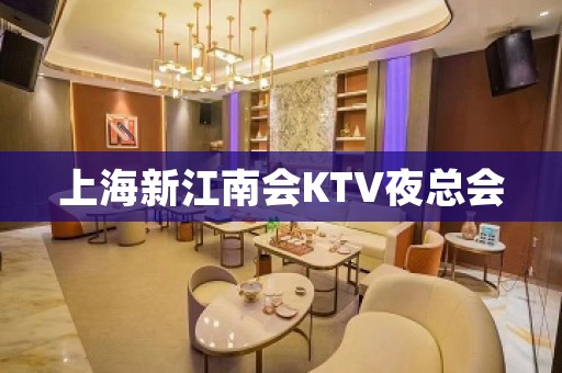 上海新江南会KTV夜总会