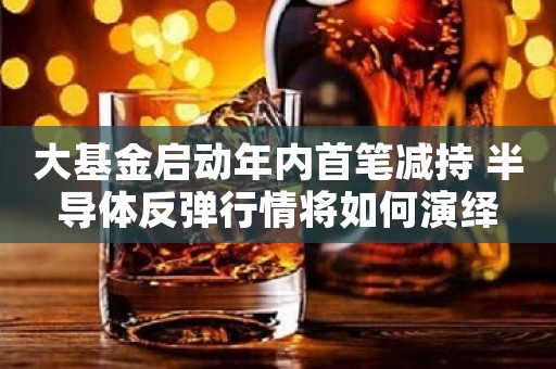 大基金启动年内首笔减持 半导体反弹行情将如何演绎