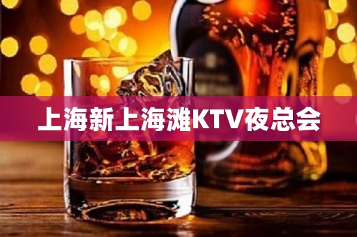上海新上海滩KTV夜总会 上海新上海滩KTV夜总会