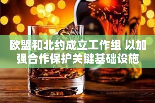 欧盟和北约成立工作组 以加强合作保护关键基础设施