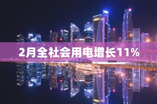 2月全社会用电增长11%