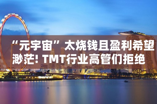 “元宇宙”太烧钱且盈利希望渺茫! TMT行业高管们拒绝无脑砸钱