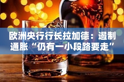 欧洲央行行长拉加德：遏制通胀“仍有一小段路要走”