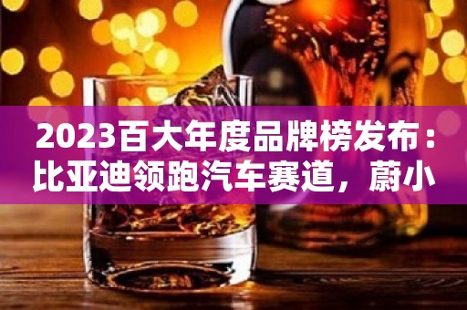 2023百大年度品牌榜发布：比亚迪领跑汽车赛道，蔚小理排名有喜有忧