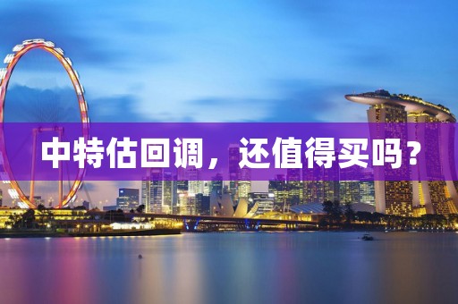 中特估回调，还值得买吗？