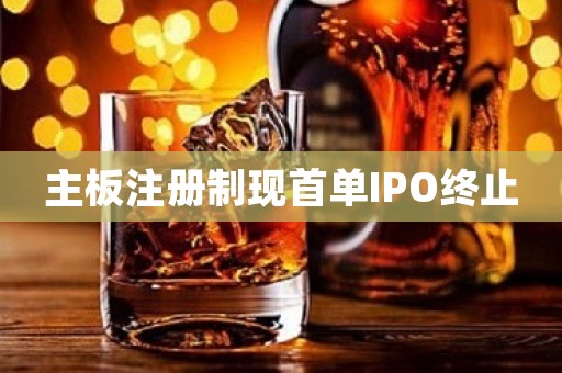 主板注册制现首单IPO终止