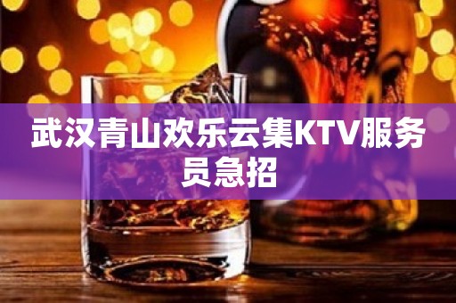 武汉青山欢乐云集KTV服务员急招