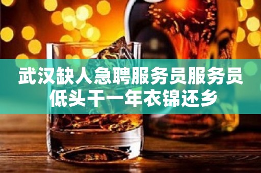 武汉缺人急聘服务员服务员 低头干一年衣锦还乡