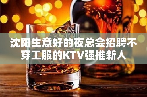 沈阳生意好的夜总会招聘不穿工服的KTV强推新人