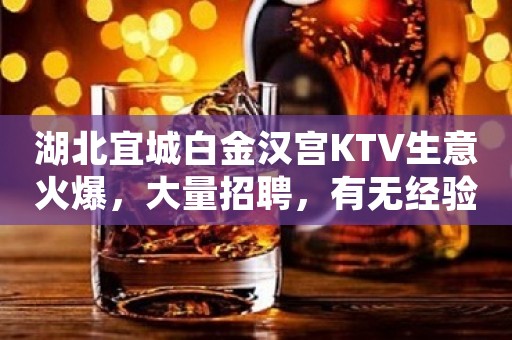 湖北宜城白金汉宫KTV生意火爆，大量招聘，有无经验均可
