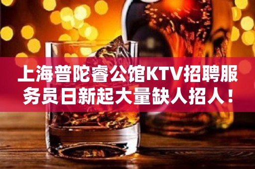 上海普陀睿公馆KTV招聘服务员日新起大量缺人招人！