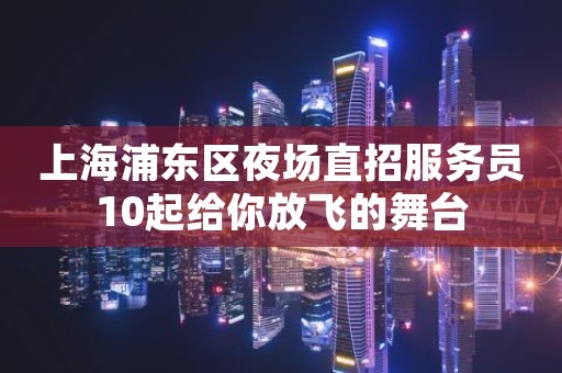 上海浦东区夜场直招服务员10起给你放飞的舞台