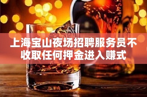 上海宝山夜场招聘服务员不收取任何押金进入赚式