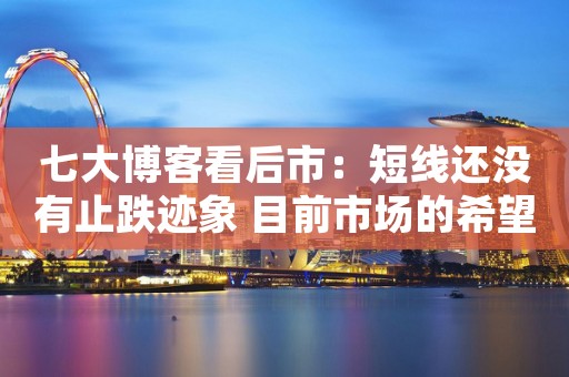 七大博客看后市：短线还没有止跌迹象 目前市场的希望在哪里