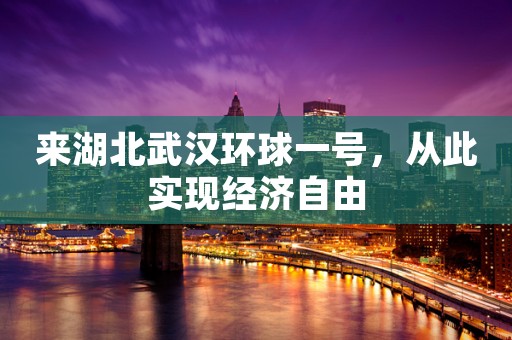 来湖北武汉环球一号，从此实现经济自由