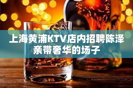 上海黄浦KTV店内招聘陈泽亲带奢华的场子