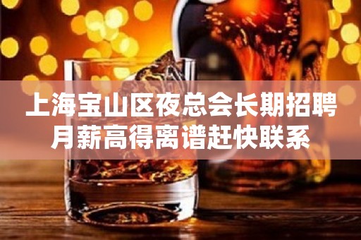 上海宝山区夜总会长期招聘月薪高得离谱赶快联系