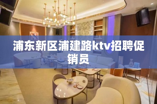 浦东新区浦建路ktv招聘促销员