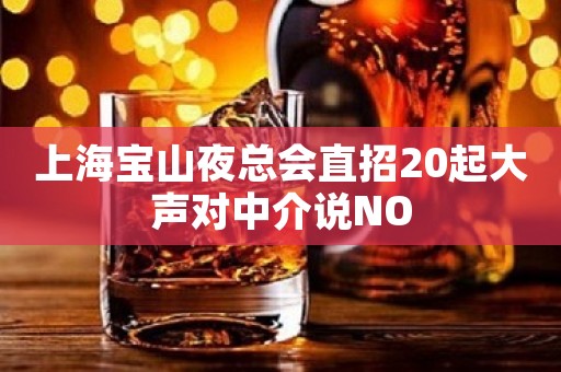 上海宝山夜总会直招20起大声对中介说NO