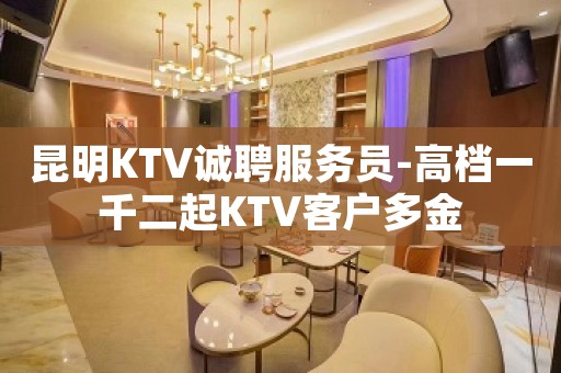 昆明KTV诚聘服务员-高档一千二起KTV客户多金