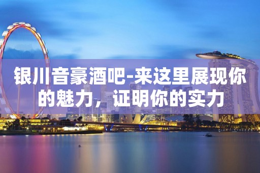 银川音豪酒吧-来这里展现你的魅力，证明你的实力