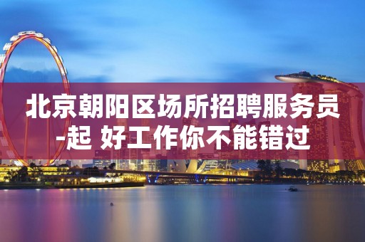 北京朝阳区场所招聘服务员-起 好工作你不能错过
