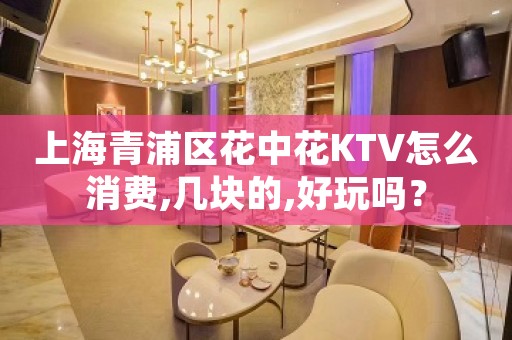 上海青浦区花中花KTV怎么消费,几块的,好玩吗？