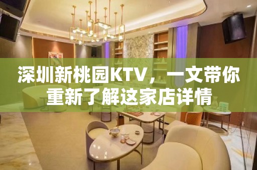 深圳新桃园KTV，一文带你重新了解这家店详情