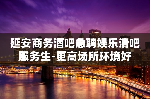 延安商务酒吧急聘娱乐清吧服务生-更高场所环境好