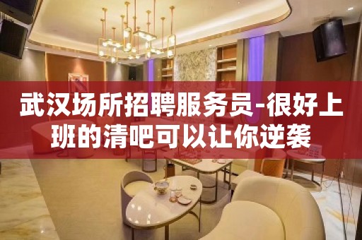 武汉场所招聘服务员-很好上班的清吧可以让你逆袭