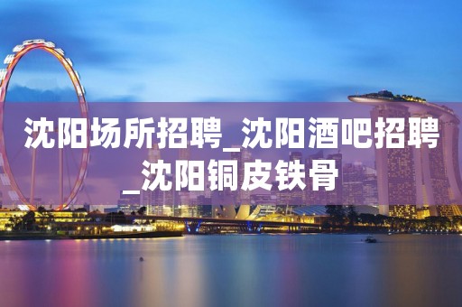 沈阳场所招聘_沈阳酒吧招聘_沈阳铜皮铁骨