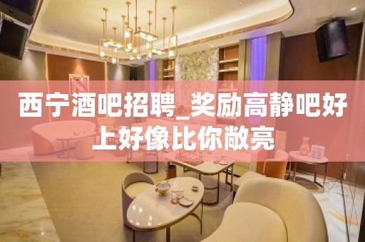 西宁酒吧招聘_奖励高静吧好上好像比你敞亮