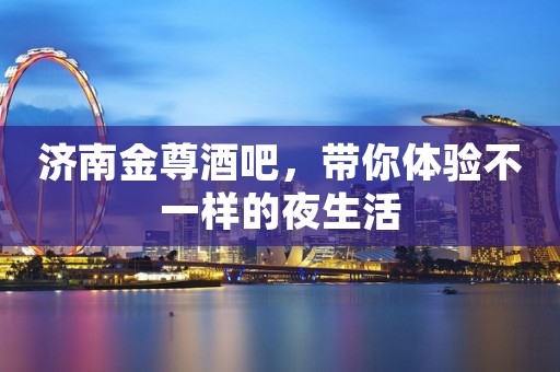 济南金尊酒吧，带你体验不一样的夜生活