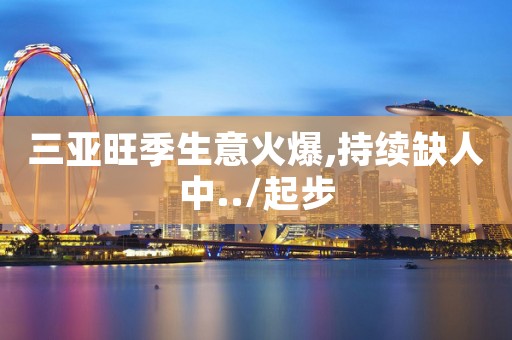 三亚旺季生意火爆,持续缺人中../起步
