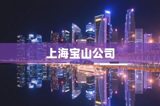 上海宝山公司