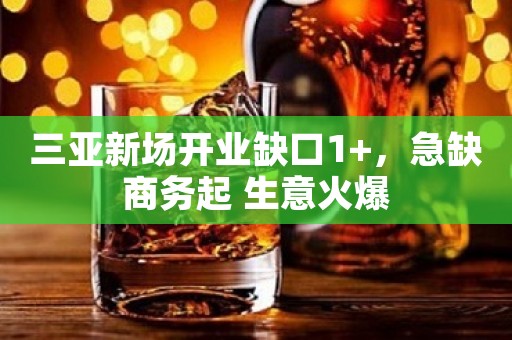 三亚新场开业缺口1+，急缺商务起 生意火爆
