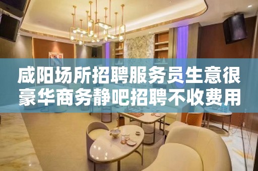 咸阳场所招聘服务员生意很豪华商务静吧招聘不收费用 咸阳场所招聘服务员生意很豪华商务静吧招聘不收费用