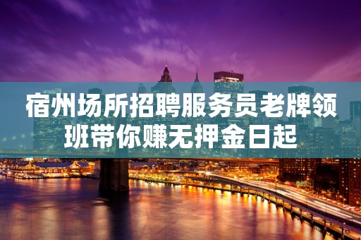 宿州场所招聘服务员老牌领班带你赚无押金日起