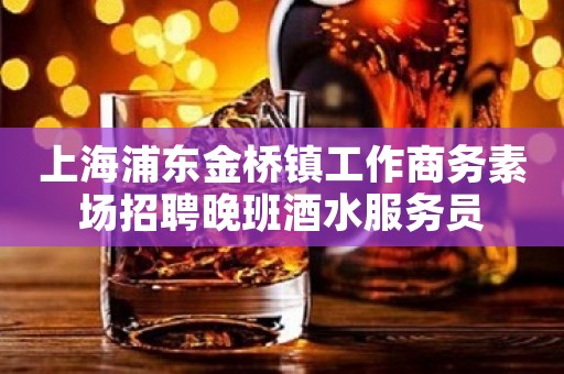 上海浦东金桥镇工作商务素场招聘晚班酒水服务员