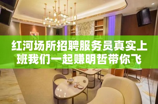 红河场所招聘服务员真实上班我们一起赚明哲带你飞