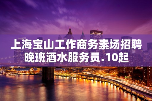 上海宝山工作商务素场招聘晚班酒水服务员.10起