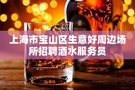 上海市宝山区生意好周边场所招聘酒水服务员