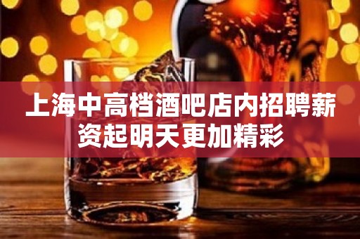 上海中高档酒吧店内招聘薪资起明天更加精彩