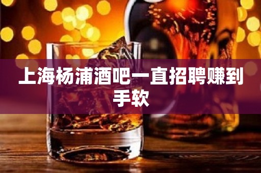 上海杨浦酒吧一直招聘赚到手软