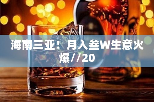 海南三亚！月入叁W生意火爆//20