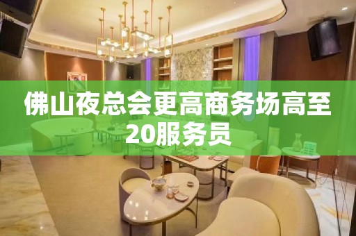 佛山夜总会更高商务场高至20服务员