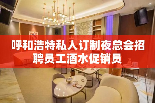 呼和浩特私人订制夜总会招聘员工酒水促销员