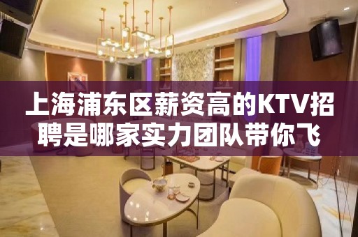 上海浦东区薪资高的KTV招聘是哪家实力团队带你飞