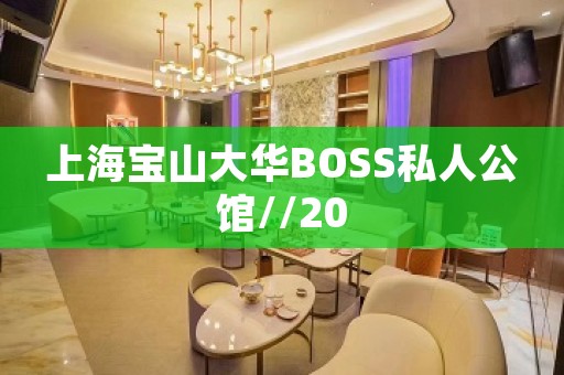 上海宝山大华BOSS私人公馆//20 上海宝山大华BOSS私人公馆//20