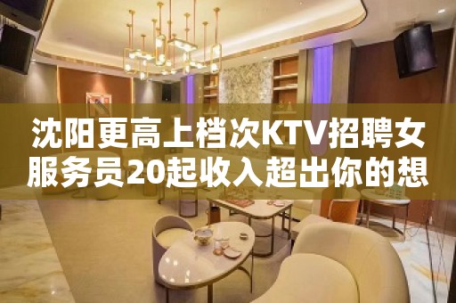 沈阳更高上档次KTV招聘女服务员20起收入超出你的想像